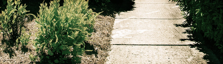 24小时不停呼叫软件